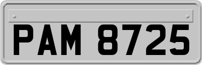 PAM8725