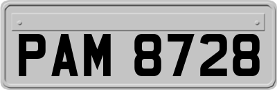 PAM8728