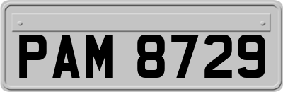 PAM8729