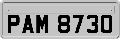 PAM8730