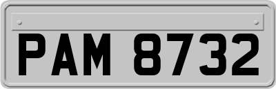PAM8732