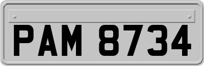 PAM8734