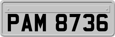 PAM8736