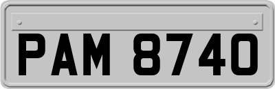 PAM8740