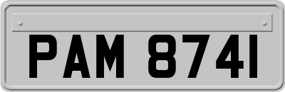 PAM8741