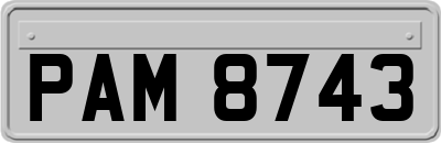 PAM8743