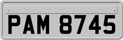 PAM8745