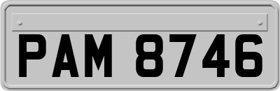 PAM8746