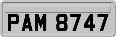 PAM8747