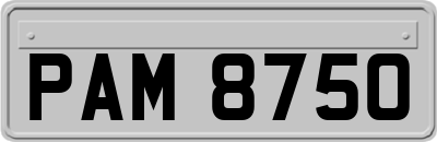 PAM8750
