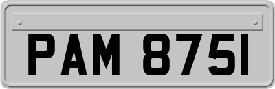 PAM8751
