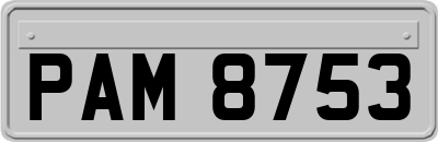 PAM8753