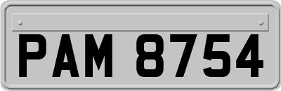 PAM8754