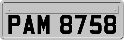 PAM8758
