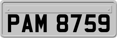 PAM8759