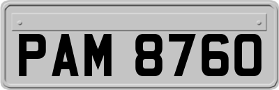 PAM8760