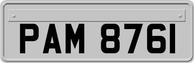 PAM8761
