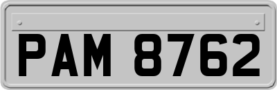 PAM8762