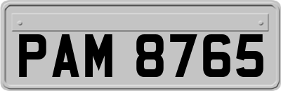 PAM8765