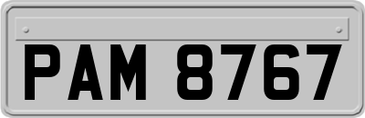 PAM8767