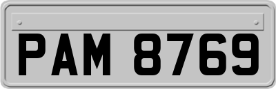 PAM8769