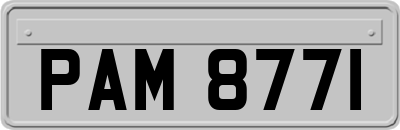 PAM8771