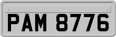 PAM8776