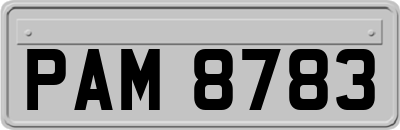 PAM8783