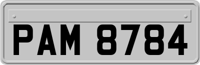 PAM8784