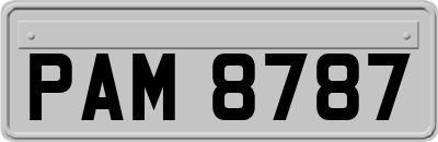 PAM8787