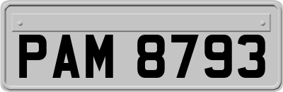 PAM8793