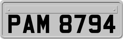 PAM8794