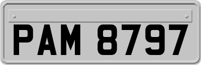 PAM8797