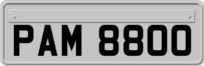 PAM8800
