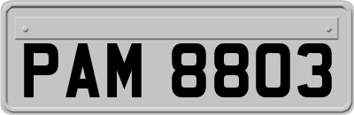 PAM8803
