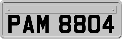 PAM8804