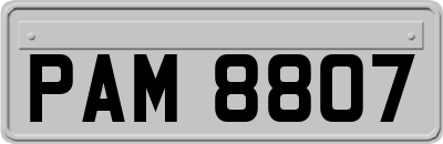 PAM8807