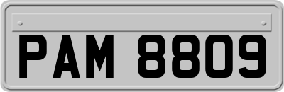 PAM8809