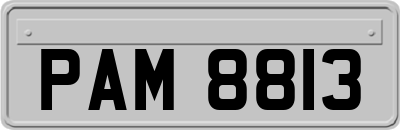 PAM8813