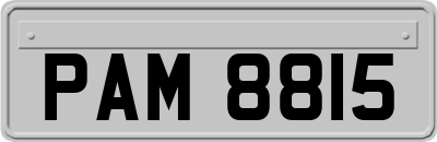 PAM8815