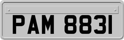 PAM8831
