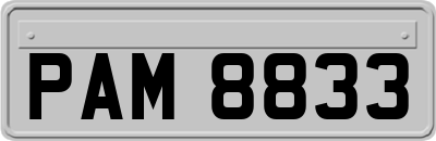 PAM8833