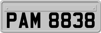 PAM8838