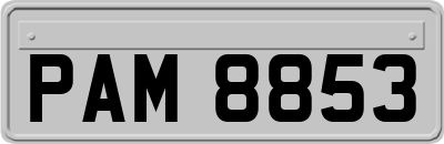PAM8853