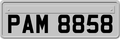 PAM8858