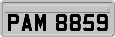 PAM8859