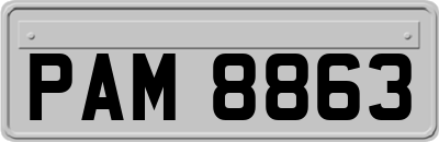 PAM8863