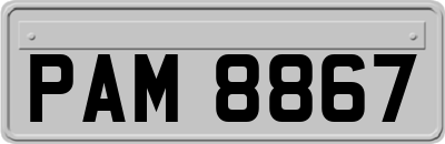 PAM8867