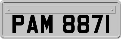 PAM8871