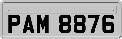 PAM8876